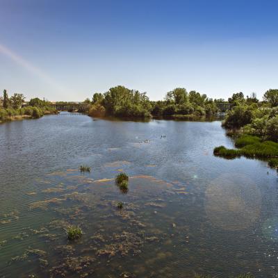  Rí¬o Tomes a su paso por Salamanca