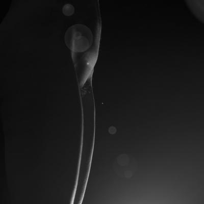 Sesión de fotos de desnudo artístico - Cuerpo de mujer 073