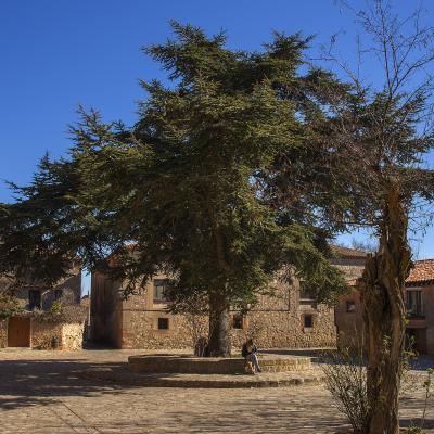  Una mañana de estrés en Medinaceli