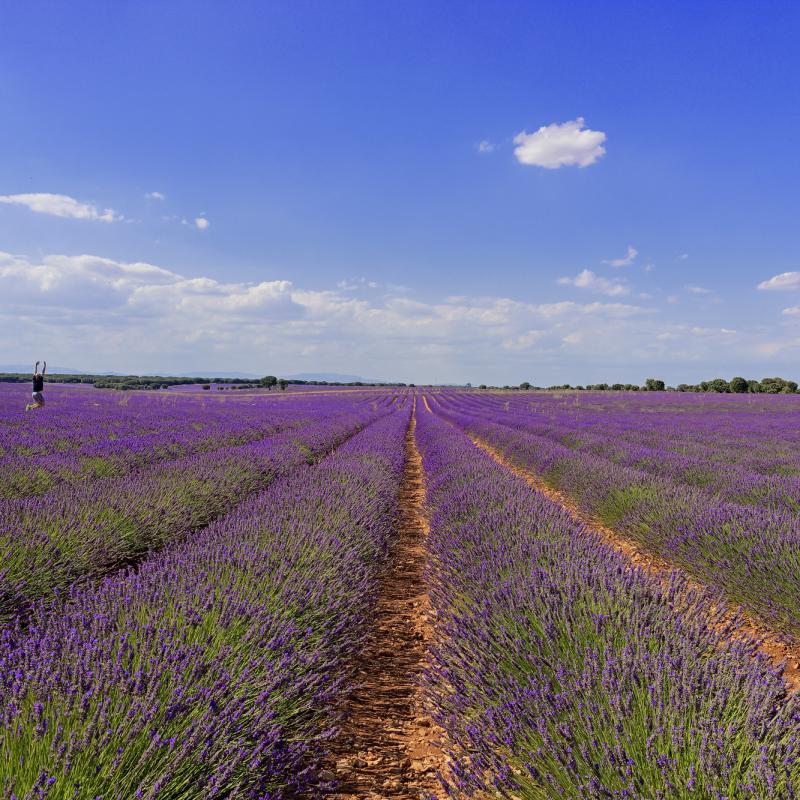 W Brihuega20210727 053