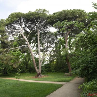 Un Capricho de paseo