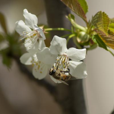 Luz, luz y naturaleza