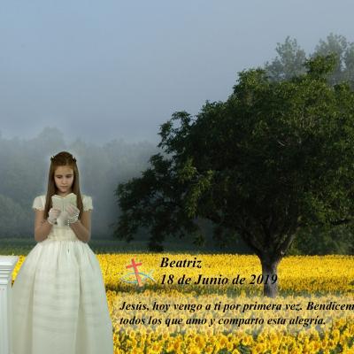 Religión entre girasoles