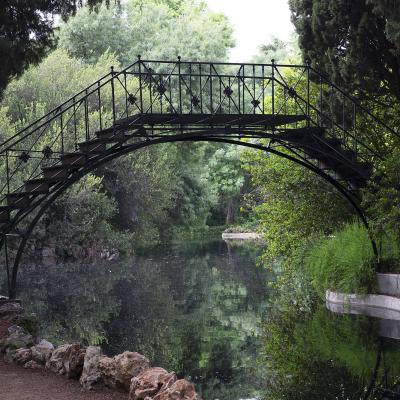 Un rincón de naturaleza en Madrid