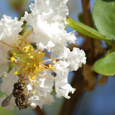  ¡Un trozo de primavera!
