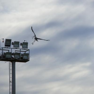 Arreglando mi casita