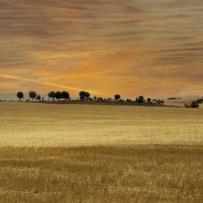 Cuando el suelo deseaba ser un atardecer