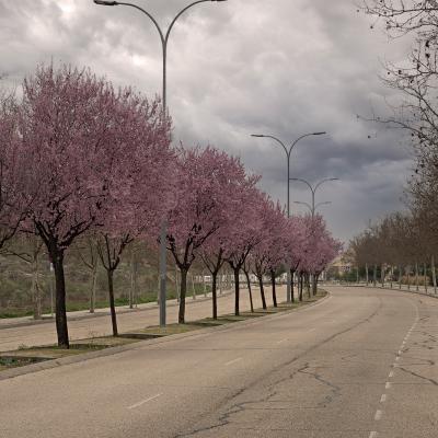 Rivas, ya es primavera