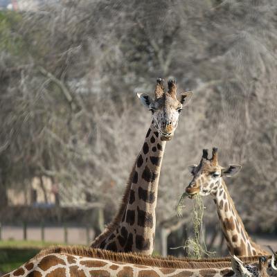 Por encima de los demas