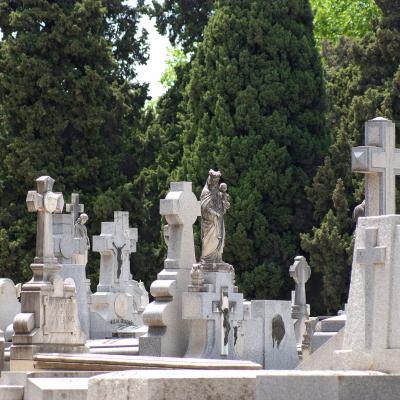 Buen día de todos los Santos