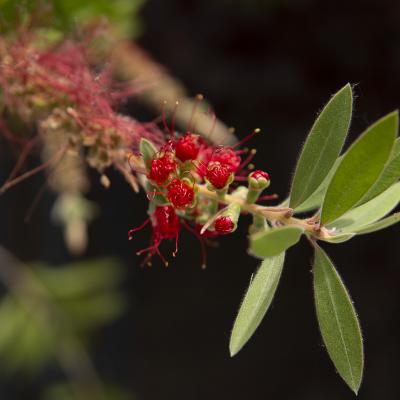 Historia de un nacimiento