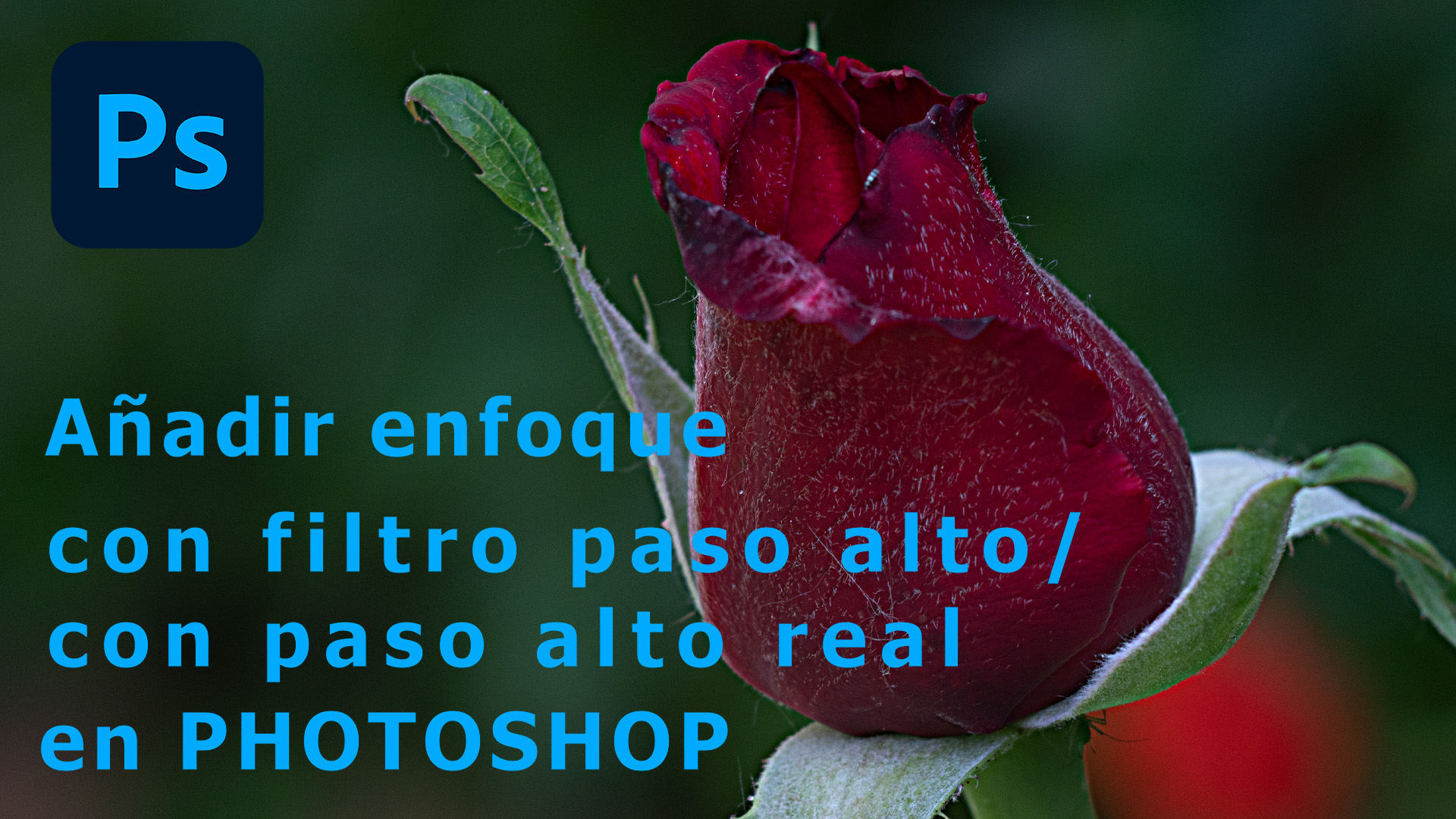 Give an extra touch of focus to a photo with High Pass